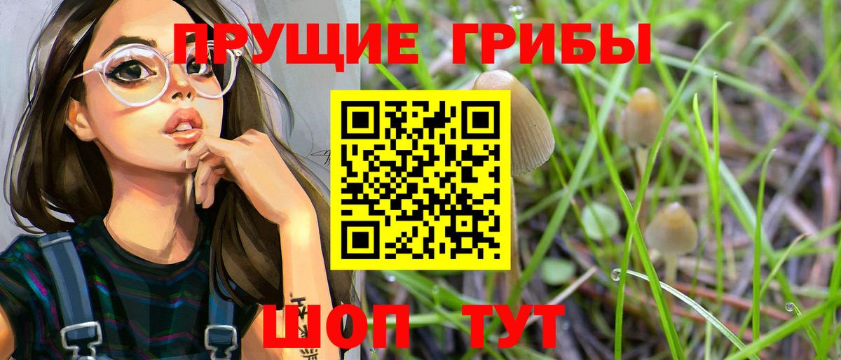 Псилоцибиновые грибы Psilocybine cubensis Отрадное