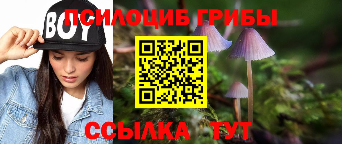 Псилоцибиновые грибы Psilocybe  Вход с VPN  Галлюциногенные грибы прущие грибы  Отрадное 